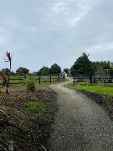 a dirt road in a field with a fence at Kingsford Pod in Wexford