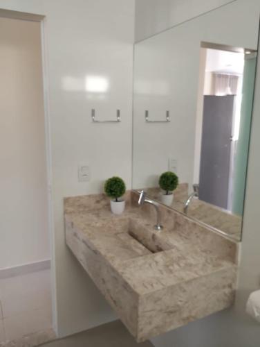 a bathroom with a sink with two potted plants on it at Casa Jacuípe in Camaçari