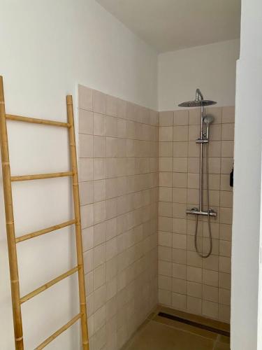 a bathroom with a shower with a ladder at Casa Costa Apartments in Bajamar