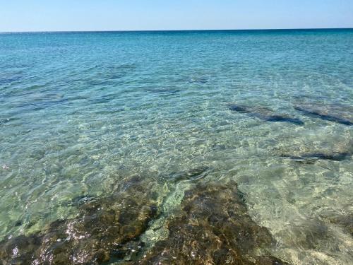 Gallery image of Gemma Mediterranea in Campomarino