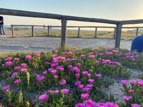 Gallery image of Gemma Mediterranea in Campomarino