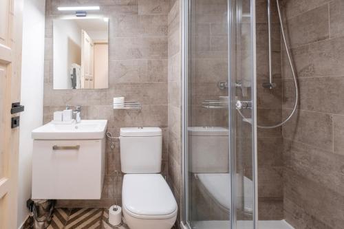 a bathroom with a shower and a toilet and a sink at CHATA LESOVNA in Pec pod Sněžkou