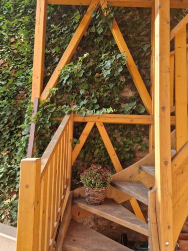a wooden stairway with a potted plant on it at Dům s duší in Kadaň