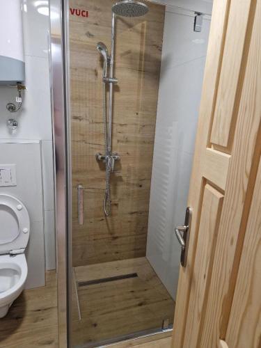 a shower stall in a bathroom with a toilet at Aparthotel Jahorinski Konaci in Jahorina