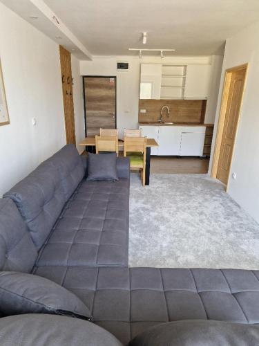 a living room with a couch and a kitchen at Aparthotel Jahorinski Konaci in Jahorina