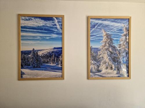 two pictures of a snow covered tree on a wall at Aparthotel Jahorinski Konaci in Jahorina