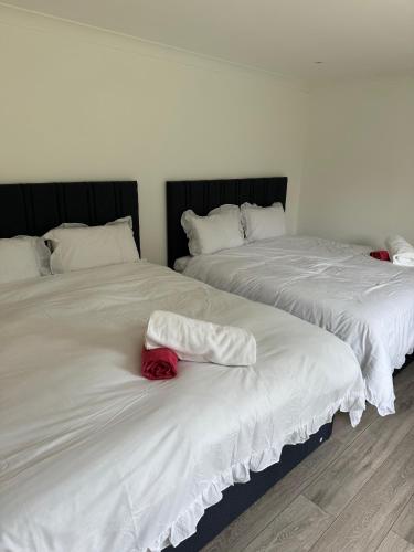 two beds with white sheets and a red rose on them at Cozy 2 Bedroom Cottage in Kirkcaldy in Fife