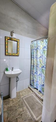 a bathroom with a shower and a sink and a mirror at Casa Rural Aroma de Campo in Curubandé