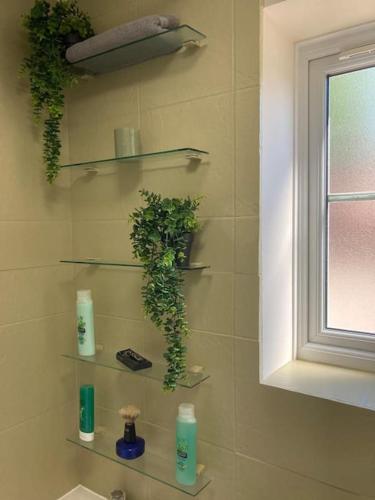 a bathroom with shelves with plants on the wall at City Centre One Bedroom Apartment Free Parking And internet in Hull