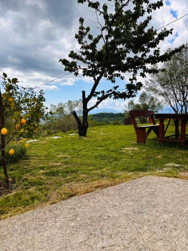 a park with a tree and a picnic table at Torretta Margiotta in Picinisco