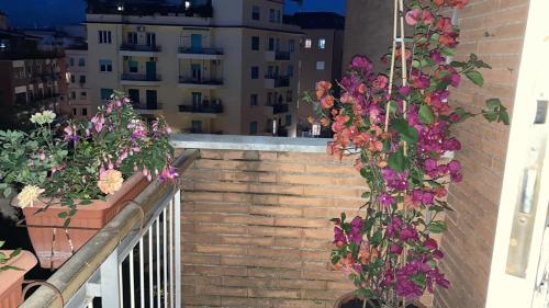 Le Mille e Una Notte