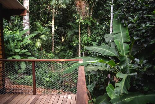 a wooden deck in a jungle with trees and plants at Bonito Paraiso Ilha Grande in Abraão