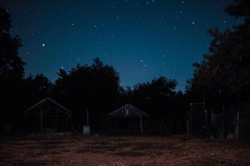a starry night with two houses in a field at Agroturystyka Złoty Klon Drewniany Domek in Kijanka