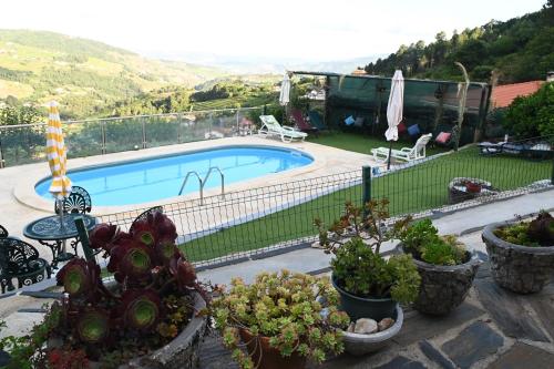 a house with a swimming pool and some plants at King's House Douro Valley in Sedielos