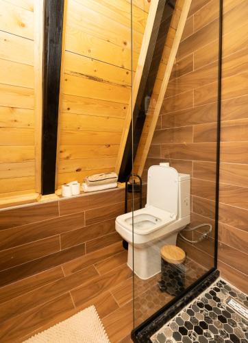 a bathroom with a toilet in a wooden cabin at Eka's Village in Plav