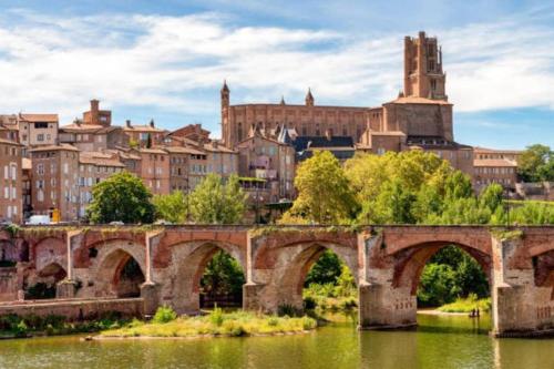 un vieux pont sur une rivière dans une ville dans l'établissement La petite maison rose au centre d'Albi, à Albi