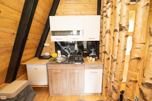 a kitchen in a log cabin with a sink at Eka's Village in Plav