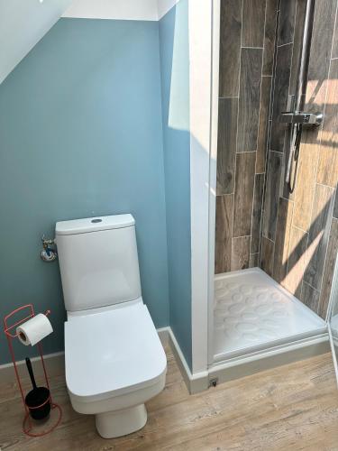 a bathroom with a toilet and a shower at Maison - 2 chambres - Terrasse - Babyfoot in Verton