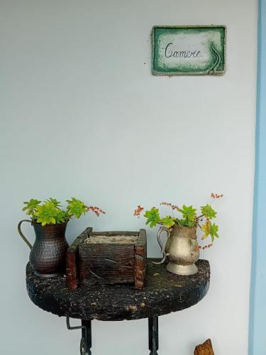 Fotografie z fotogalerie ubytování Lugori v destinaci Seùlo