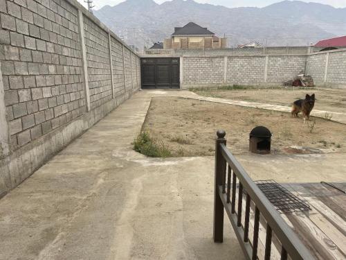 a dog is standing next to a brick wall at Maison confortable in Khujand