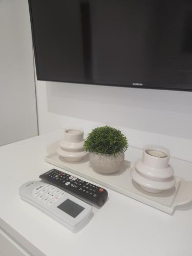 a remote control and a potted plant sitting on a shelf at Maison "COSY" avec Parking Privé et Climatisation in Nîmes