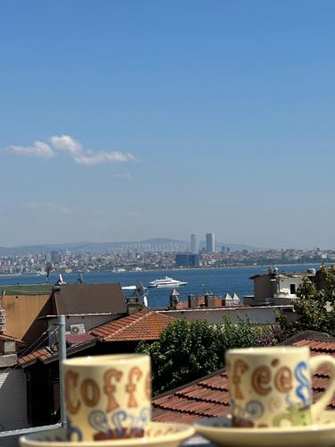 イスタンブールにあるPine Stone Apart Hotel Sultanahmetのギャラリーの写真