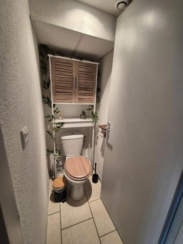 Elle comprend une petite salle de bains pourvue de toilettes et d'un siège en bois. dans l'établissement Appartement Saint Lary Soulan centre-ville, à Saint-Lary-Soulan
