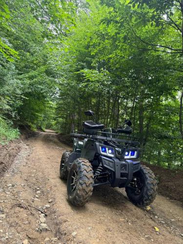 a atv parked on a dirt road in the woods at Dilijan Glamping in Dilijan