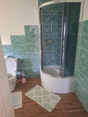a bathroom with a shower and a toilet at Agroturystyka Przy Rajskim Sadzie in Nowy Berezów
