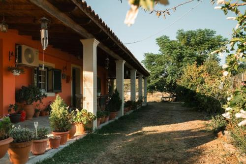 Taman di luar Village House In The Valley