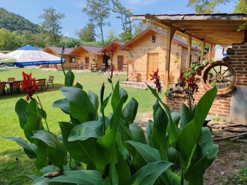 Zahrada ubytování CAMPING THOBIAS