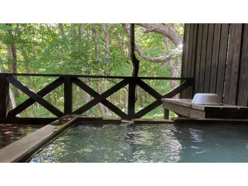 a plunge pool with a chair in the water at Shinyu Onsen Kurikomaso - Vacation STAY 45507v in Kurihara