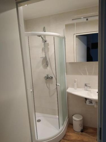 ein Badezimmer mit Dusche und Waschbecken in der Unterkunft Gallery in Narva