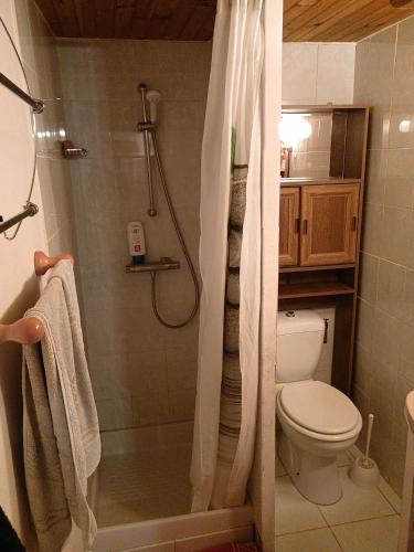 a bathroom with a shower and a toilet at maison dans village rural in Saint-Louis-et-Parahou