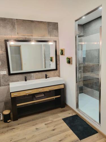 une salle de bain avec un lavabo et une douche dans l'établissement La casa de Soto, à Lourdes