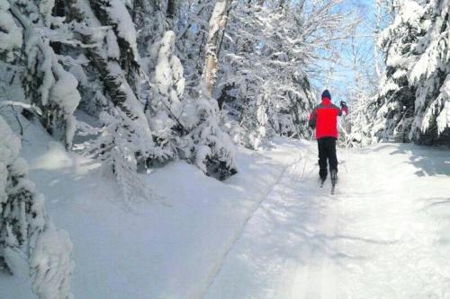 a person is cross country skiing through a snow covered forest at Chalet du Domaine Spa privé et lac in Saint Adolphe D'Howard