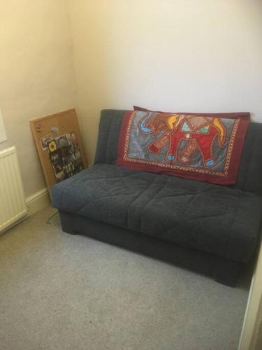 Cosy Roath home near the park photo 10