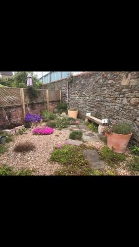 Cosy Roath home near the park photo 7