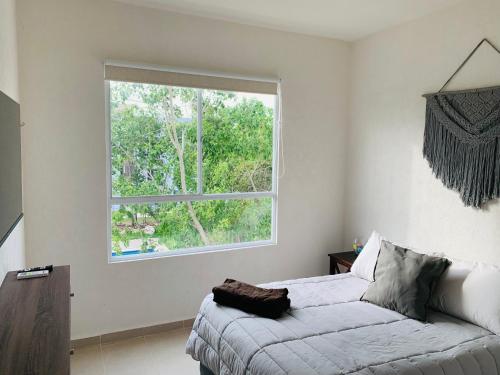 En eller flere senge i et værelse på Franks House Collection Corifa