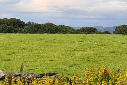 a green field with flowers and a stone fence at Quakers Field View in Pennington