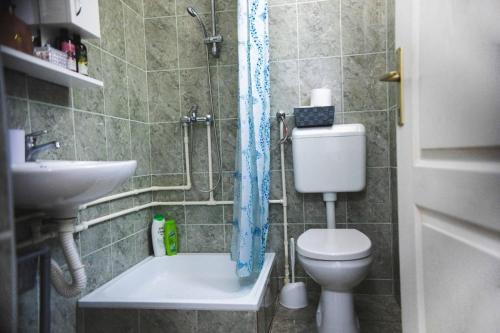 a bathroom with a toilet and a sink at Vikendica Bella Dona in Loznica
