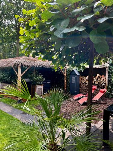 a garden with a hut with a bench and a chair at Casa aan de Plas, B&B met sauna en hottub of jacuzzi in Nieuwkoop