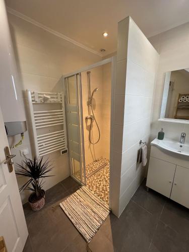 une salle de bain avec douche et lavabo dans l'établissement Bas de Villa 2P, Grande Terrasse, Vue mer, Plage à 15mn, à Saint-Laurent-du-Var