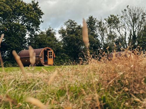 a small house in a field of tall grass at Barrel Cabin 1 in St Austell