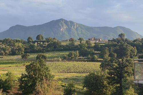 a field with a house on top of a mountain at GioiaVitae - Bed-in-Botte - Dormire in vigna in Luogosano