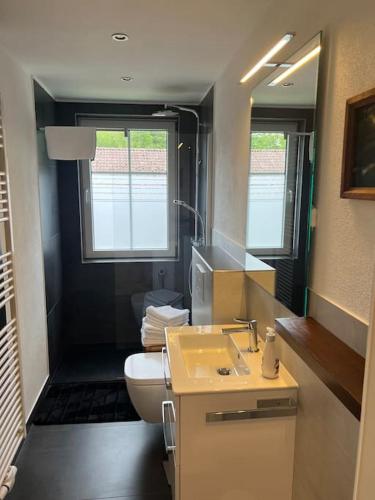 a bathroom with a white toilet and a sink at Villa Gesine FeWo plus in Braunlage
