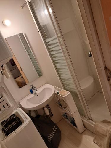 une petite salle de bain avec un lavabo et une douche dans l'établissement Appartement loverchy, à Annecy