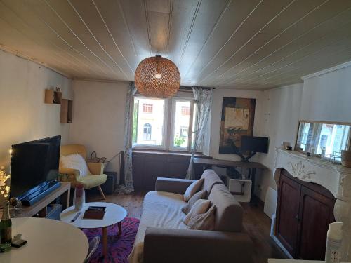 un salon avec un canapé et une télévision dans l'établissement Appartement loverchy, à Annecy
