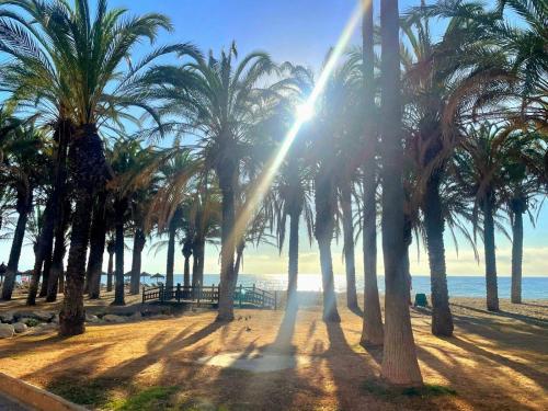 a group of palm trees on the beach at Vera Holydays in Torremolinos