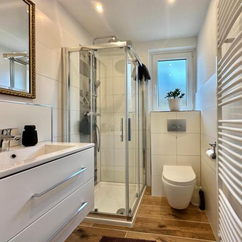 a bathroom with a shower and a toilet and a sink at Moin Moin - Garden Apartment in Wildeshausen